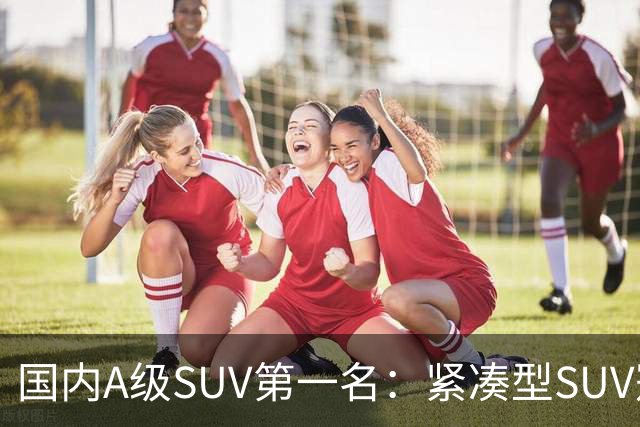 国内A级SUV第一名：紧凑型SUV冠军车，9个月时间销量破14万台